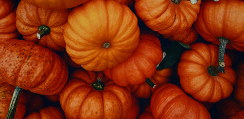 pumpkins and gourds