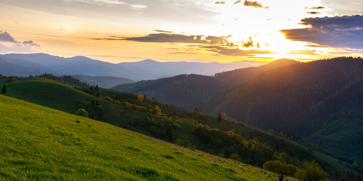 rural landscape of carpathian mountains. beautiful green background at sunset in spring. trees on the grassy rolling hills and dramatic clouds on the sky in evening light