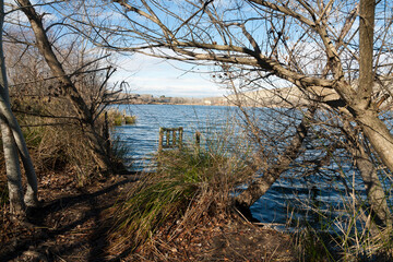 Laguna del Campillo. Madrid. España.