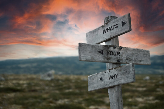 whats your why text quote caption on wooden signpost outdoors in nature. Stock sign words theme.