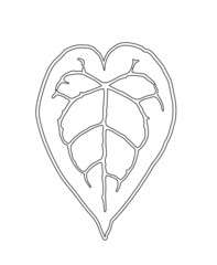 Elephant ear plant in line art style, anthurium crystallinum leaf illustration, contour drawing - obrazy, fototapety, plakaty