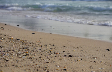 Close-up of a sandy beach in Dubai, partially out of focus