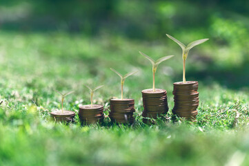 saving Investment, trade, save and make a profit with interest, Growing Money, Plant On Coins,...