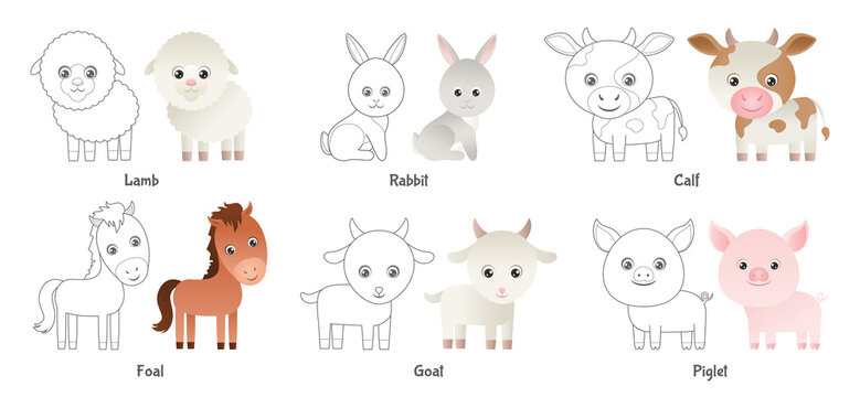 Cute farm animals coloring page. Cartoon vector  outline baby animals. Сalf, piglet, lamb, rabbit, goat, foal. Coloring book for kids.