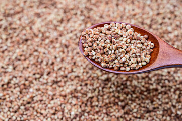 a pile of sorghum and sorghum in a wooden spoon.