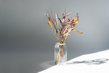 Withered flowers bouquet in plastic bottle to reduce waste. Beautiful dried flowers aesthetic and eco friendly home decor.