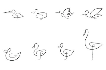 The bird's logo. Drawing birds by hand in one continuous line. Wild birds. Stylized drawing.