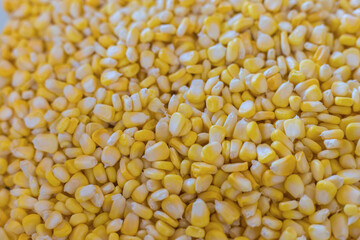 Yellow sweet corn seed is one of vegetable which rich high fiber, nutrient and carbohydrate source of plant.