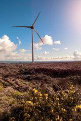 Wind turbine in a field. Cloudy blue sky. Renewable clean green energy production concept....