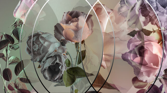 abstract roses and oval lines, vintage floral background.