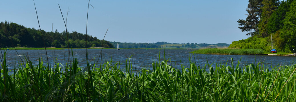am Schleiufer bei Missunde, Schleswig-Holstein