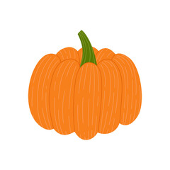 Orange pumpkin vector illustration. Fresh and healthy food. Vegetarian nutrition. Organic ingredient for salad. Squash for Halloween or Thanksgiving.