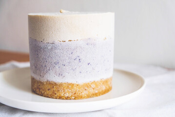 Raw gluten-free no-bake dessert. Vegan vanilla blueberry cheesecake on plate against white background. Sweet healthy food.