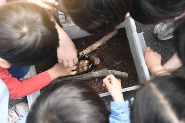 Children gather and experience learning, observing and touching scarabs