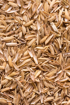 paddy seeds husk, also known as yellow rice chaff, rice husk or rice hull background, texture, taken from above,detail macro