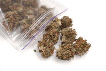 Dried cannabis buds in a plastic bags on white background, isolated. Natural recreational drugs