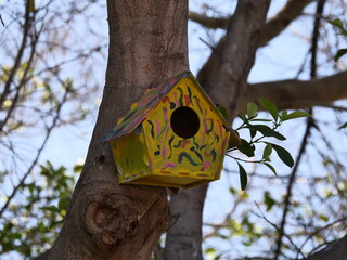 bird nests on the tree in nature