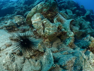 antic amphoras  underwater lycian and roman times studied ancient times