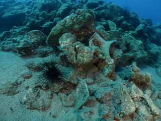 Naklejka na ściany i meble antic amphoras underwater lycian and roman times studied ancient times