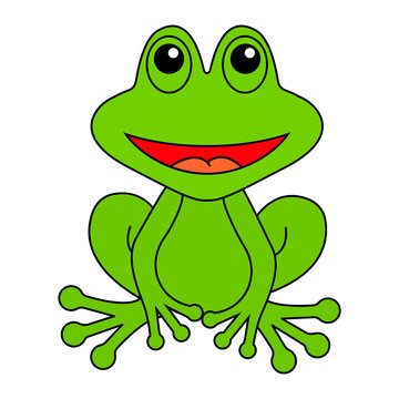 Frog cartoon vector. Green frog isolated