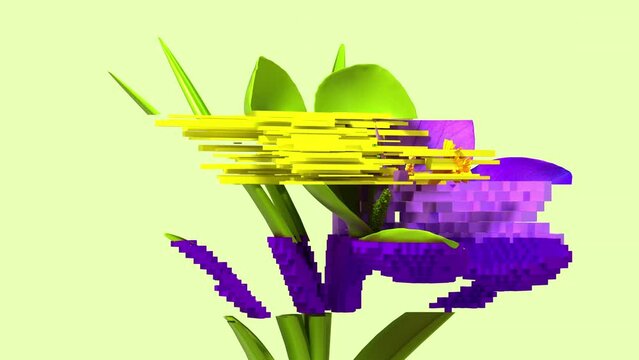 3d glitch of flower crocus. Seamless looped. NFT concept. 3D animation. 4k.
