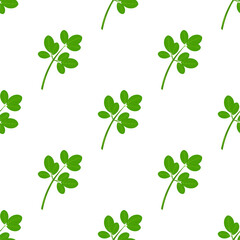 Fototapeta premium Moringa. Branch and leaves. A green plant. Seamless pattern. Vector