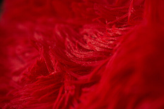 Red Fur Texture