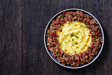 Reindeer Stew with Lingonberries and potato puree