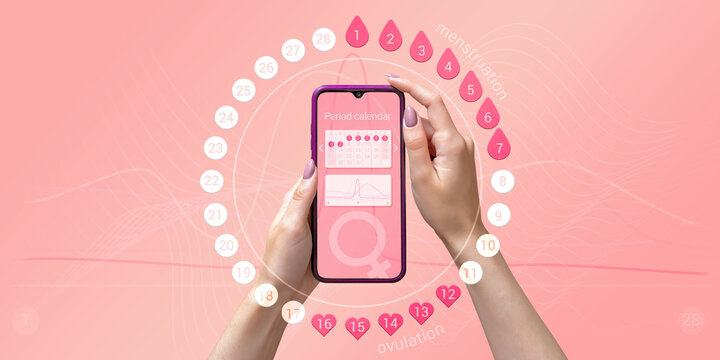 Menstrual cycle tracker mobile app on the smartphone screen in the hands of a woman. Modern technologies for tracking women's health, pregnancy planning