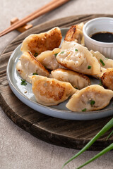 Pan-fried gyoza dumpling jiaozi in a plate with soy sauce on gray table background.