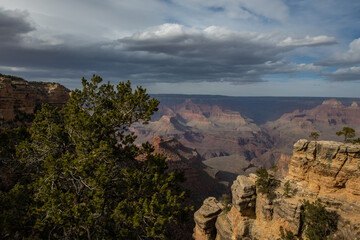 Grand Canyon Nationalpark / Grand Canyon / South Rim Trail
