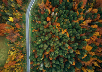 Drone top view of colorful foggy landscape of autumn woods with line country road.