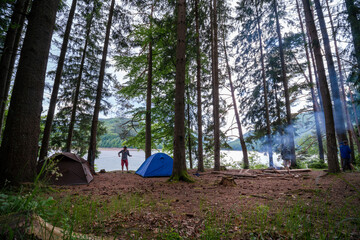 Two tents brown and blue stands between trees in a pine forest on the river bank in the mountains. Tourism concept. Copy space. They harvest firewood and light fires