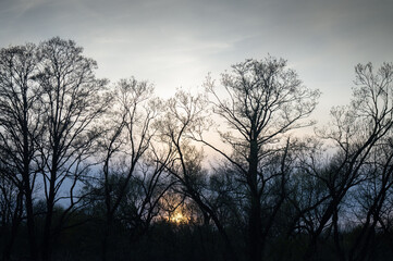 Obraz na płótnie Canvas Dark sunset in blue shades, blue hour in nature