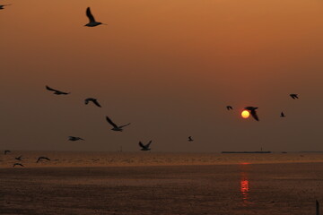 Obraz premium Sunset