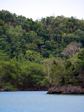 Nationalpark Los Haitises