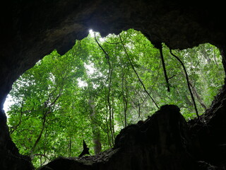 Höhle Nationalpark Los Haitises