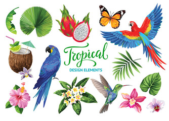 Tropical collection for jungle party: cocktails, exotic flowers, leaves, birds and butterflies. Vector design isolated elements on the white background.