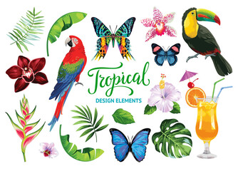 Tropical collection for summer beach party: exotic flowers, butterflies, leaves, parrots and cocktails. Vector design isolated elements on the white background. - obrazy, fototapety, plakaty