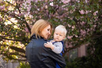 Young beautiful mother holds in her arms a little cute son. Mom and little baby boy in a flowering garden. Sakura.