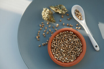 A bunch of cannabis seeds lie on a spoon and plate with several dried buds