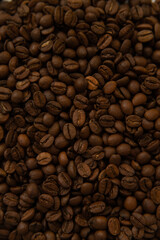 coffee beans background