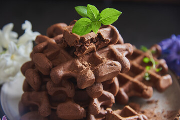 Chocolate Belgian waffles, sprinkled with cocoa, on a ceramic plate.