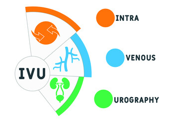 IVU intravenous urography acronym. business concept background.  vector illustration concept with keywords and icons. lettering illustration with icons for web banner, flyer, landing page