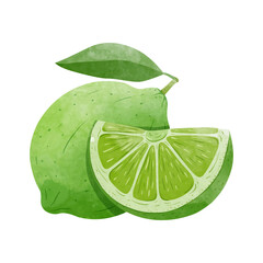Green Lemon fruit Design elements. watercolour style vector illustration.