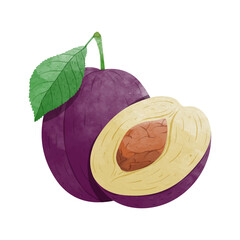 Plum fruit with leaves Design elements. watercolour style vector illustration.