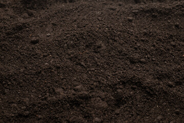 Fototapeta premium Black land for plant background. Top view.