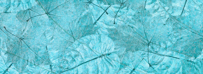Background and texture with leaves.