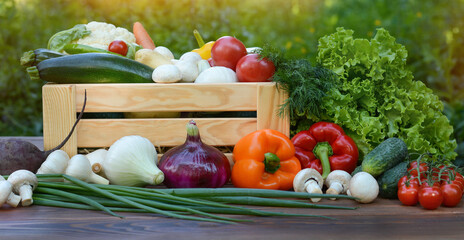 Fresh organic vegetables in a wooden box and on a wooden table on the background of a vegetable garden.Concept of biological, bio products, bio ecology, gardening, healthy food, vegetarianism.