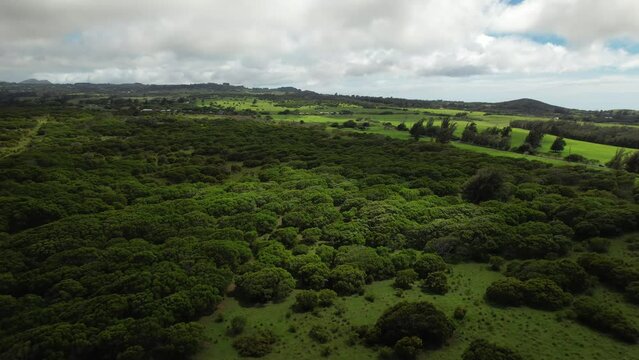 Flying over the lush green wilderness area of Hawi on the Big Island of Hawaii with passing clouds and changing light